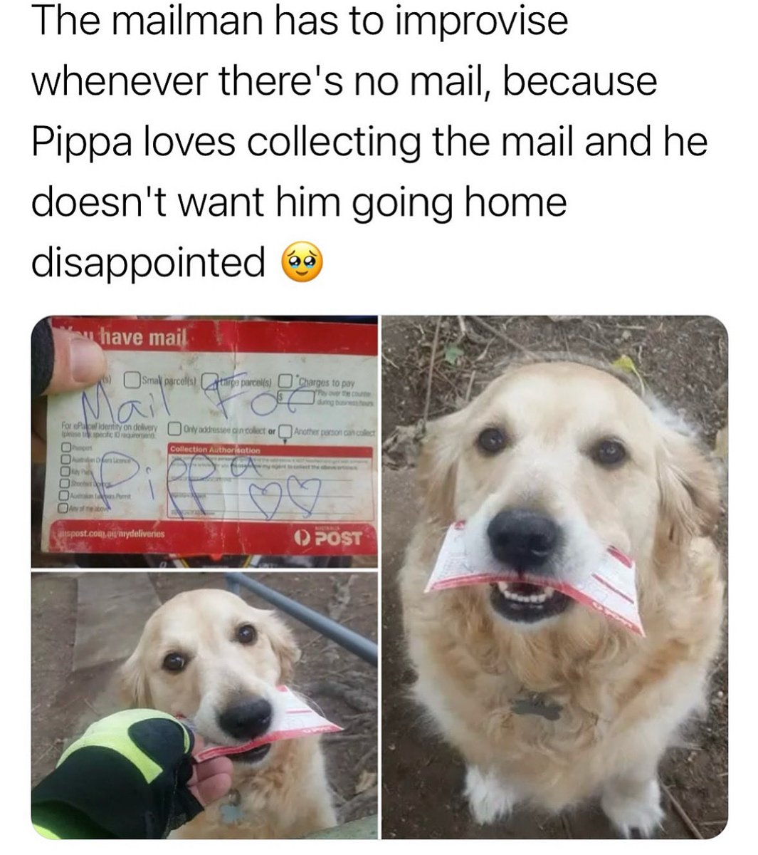 dog.com (@dogproduct) on Twitter photo 