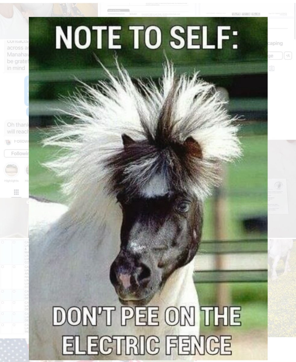 Statelinetack.com (@statelinetack) on Twitter photo 