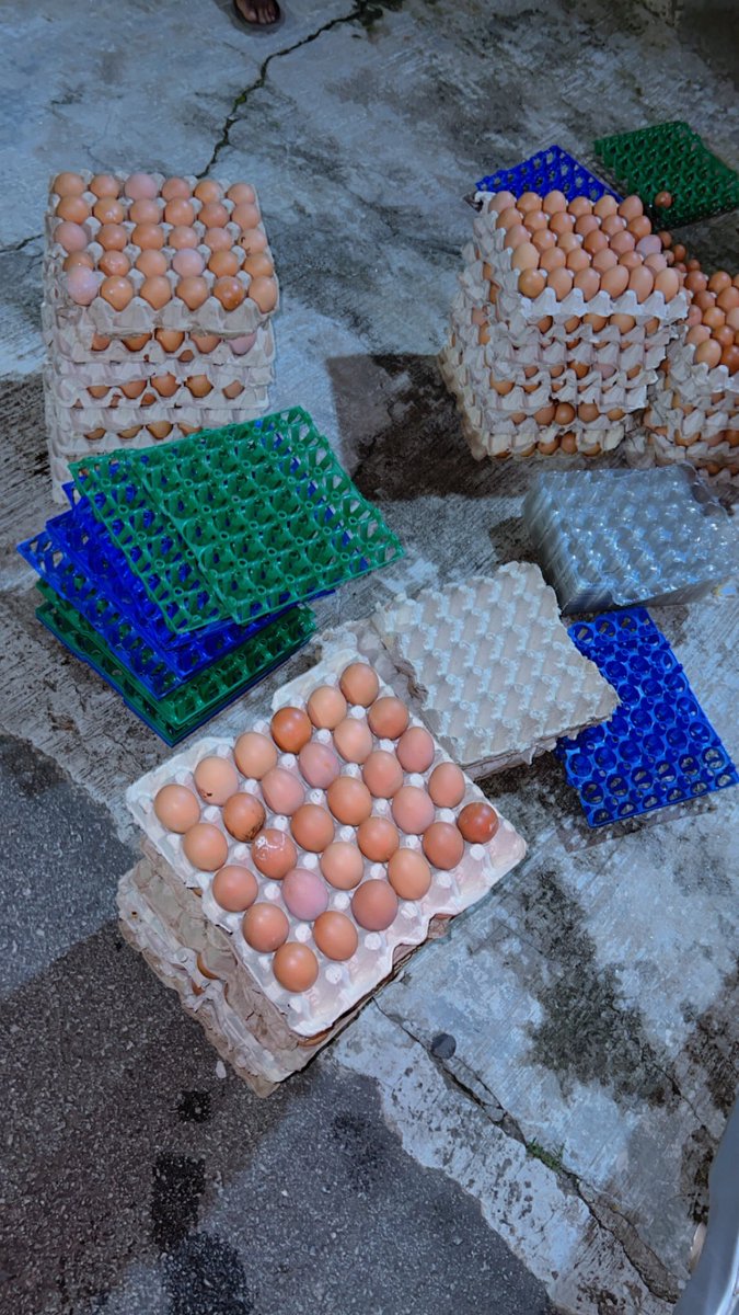 Aadamu (@arddiee) on Twitter photo Selling eggs might sound small to you, but it’s been one of my biggest teachers.
Here are 3 things selling eggs taught me about people and why business isn’t just about profit, it’s about understanding human beings. Selling eggs might sound small to you, but it’s been one of my biggest teachers.
Here are 3 things selling eggs taught me about people and why business isn’t just about profit, it’s about understanding human beings.