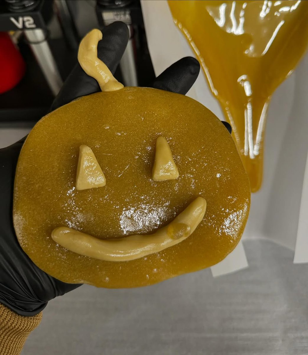 rosinevolution's tweet photo. 🎃🎃🎃🎃 @babysavagee35 (IG) @BEARLabs710 https://t.co/sACRl3ErG9