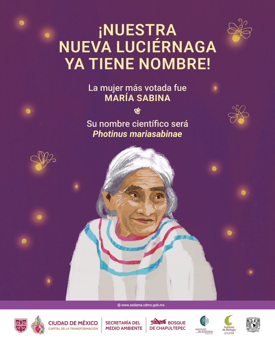 Hoy, en el Día Internacional de las Mujeres Rurales, celebramos a quienes cuidan la vida, la tierra y la sabiduría ancestral.

Nuestra nueva luciérnaga del Bosque de Chapultepec lleva el nombre de María Sabina, curandera mazateca que iluminó el conocimiento entre la ciencia y la