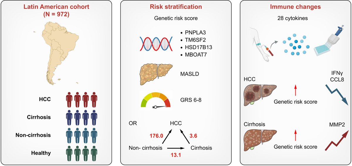 JHEP Reports (@jhep_reports) on Twitter photo 🟣Genetic risk score correlates with immune profile and risk of #HCC and cirrhosis development in Hispanics with #MASLD ❗️
🔓#OpenAccess at👉jhep-reports.eu/article/S2589-…
#LiverTwitter #LiverX
<a href="/JoseDebesMD/">Jose Debes MD PhD</a> 🟣Genetic risk score correlates with immune profile and risk of #HCC and cirrhosis development in Hispanics with #MASLD ❗️
🔓#OpenAccess at👉jhep-reports.eu/article/S2589-…
#LiverTwitter #LiverX
<a href="/JoseDebesMD/">Jose Debes MD PhD</a>