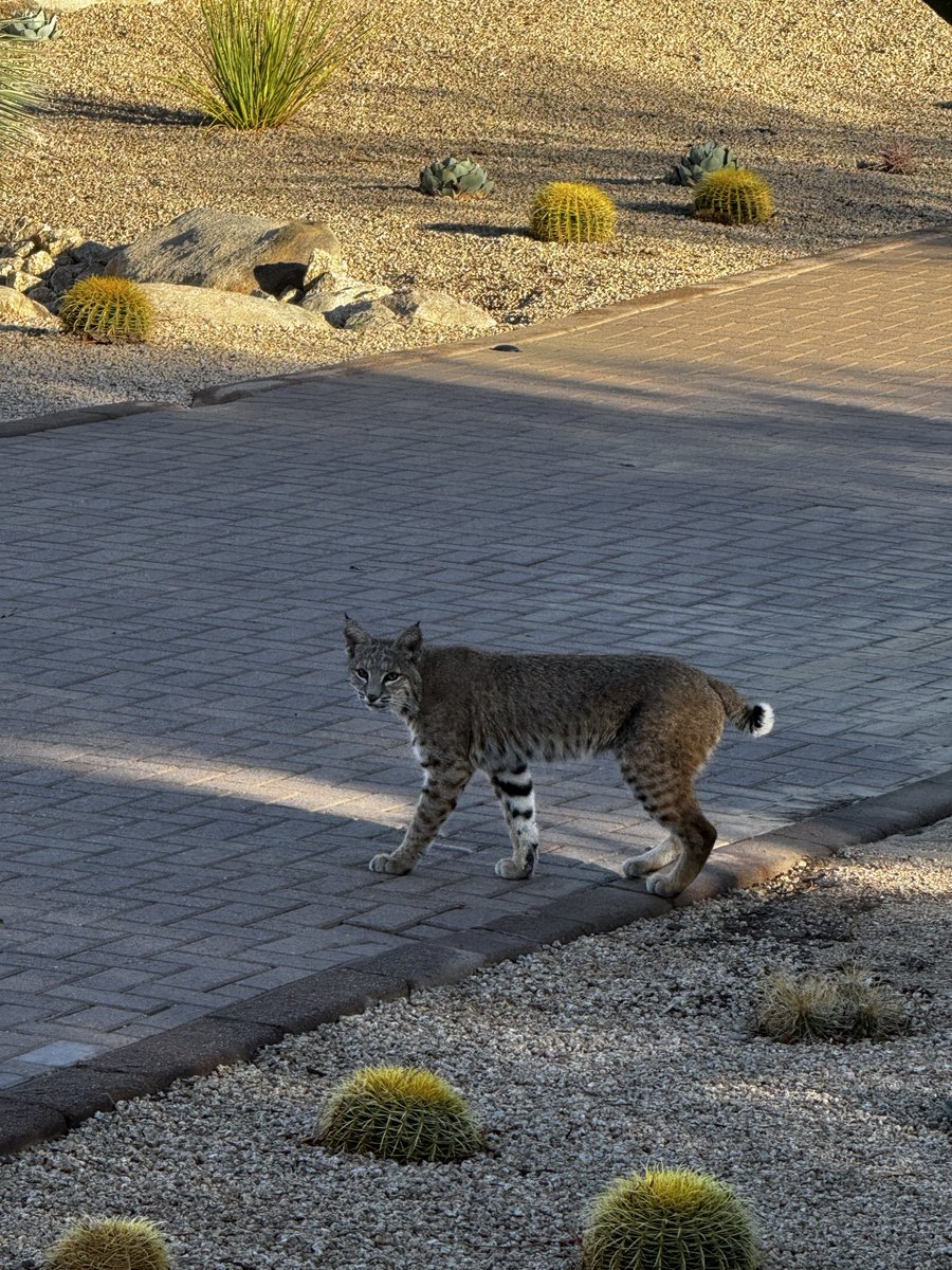 Danielle Miller FOX10 tweet media