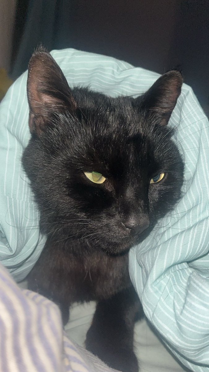 Lord Fauzen (@nexgencrusher) on Twitter photo 