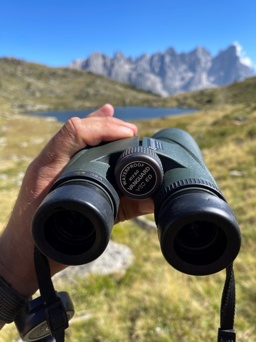 🌳 Acércate a la naturaleza con VANGUARD, cada observación se convierte en una experiencia única. #AventuraEnLaNaturaleza