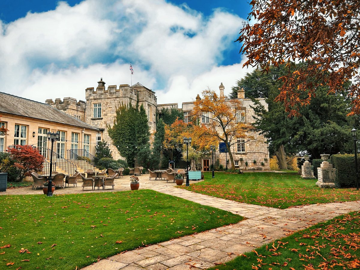 Fitzpatrick Design tweet media