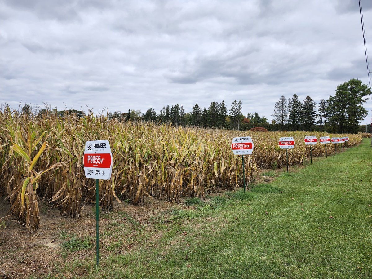 Mike Pasztor 🌽🌱🌾🐂🐷🥒🌶 tweet media