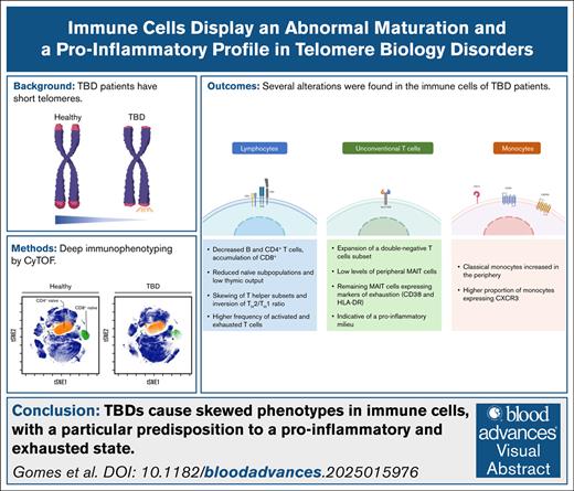Blood Journal (@bloodjournal) on Twitter photo Patients with TBDs display decreased thymic output, abnormal maturation, skewed cell diversity, activation, and exhaustion of lymphocytes. Read the full article in Blood Advances: ow.ly/9RXx50XbKpg Patients with TBDs display decreased thymic output, abnormal maturation, skewed cell diversity, activation, and exhaustion of lymphocytes. Read the full article in Blood Advances: ow.ly/9RXx50XbKpg