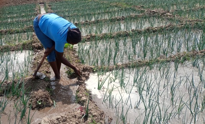 Célébrons les femmes rurales ! Face aux défis du changement climatique et à l'accès limité aux ressources, elles travaillent dur pour nourrir leurs communautés et préserver l'environnement. Ensemble, soutenons-les pour un avenir meilleur ! #JournéeInternationaledelaFemmeRurale