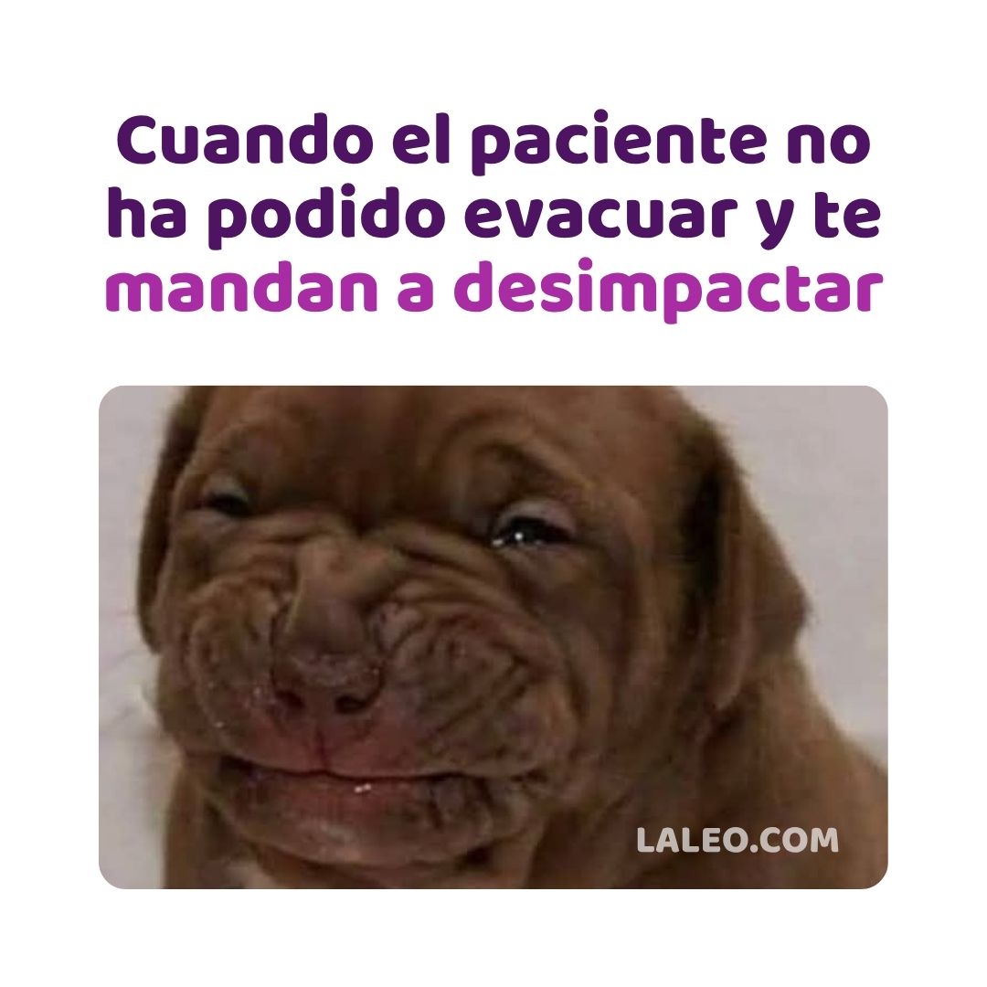 LibreriaLeo's tweet image. Ayno 😖
#humormédico #humormedico #memesmedicos #estudiantedemedicina #laleo #medicina #medicos #medicine #estudiantesdemedicina #estudiantesdeenfermeria #estudiantesenfermeria #doctora #doctor