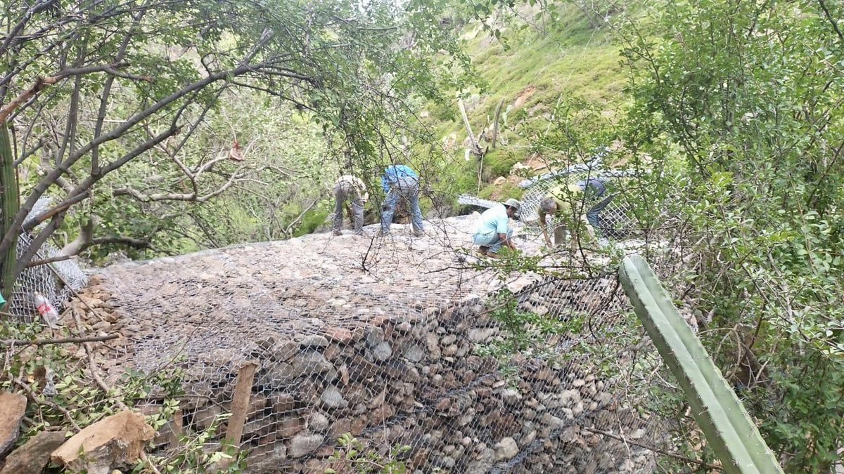 ¡Mitad de semana con buenas noticias! 🤩

Así el avance del muro para el Programa Cosecha de Lluvia 2025 🌧️🪴 en San José del #Chilar, Cuicatlán, Oaxaca.

Excelente trabajo en equipo con la comunidad, #FRBC y <a href="/Rotary/">Rotary International</a> 🙌