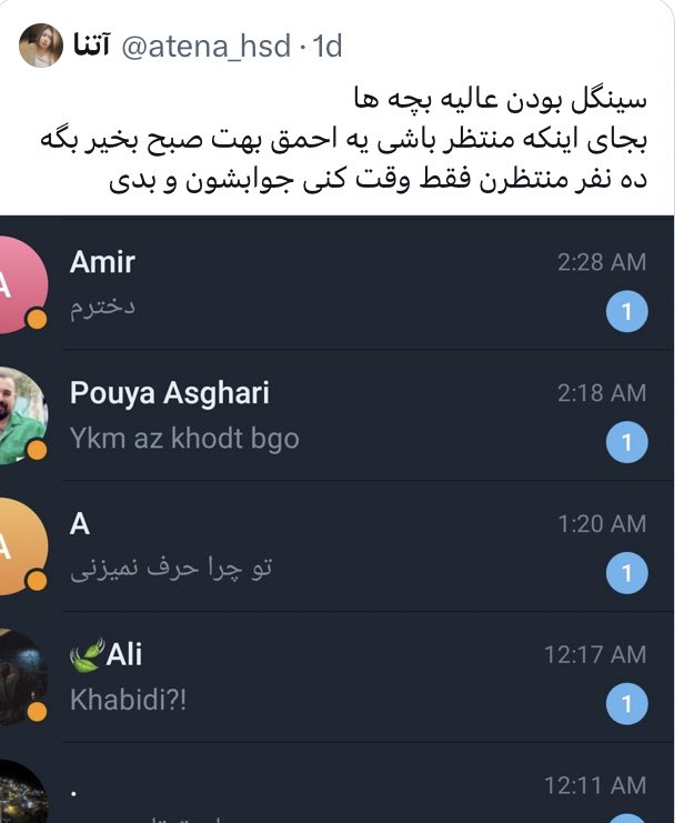 شقایق tweet media