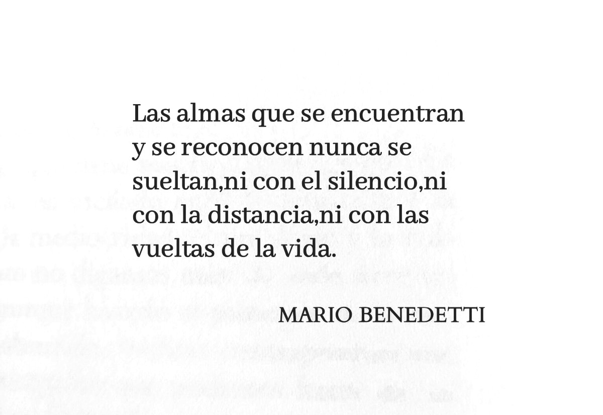 literlandweb1's tweet image. 