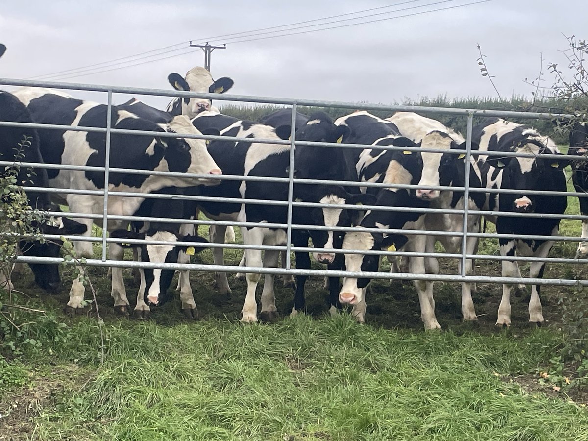 Well some of my regular listeners enjoyed a preview of tonight’s Folk &amp; Roots show 9pm <a href="/abbey104/">abbey Dulkoski</a> so why not join me and see what great music they enjoyed?