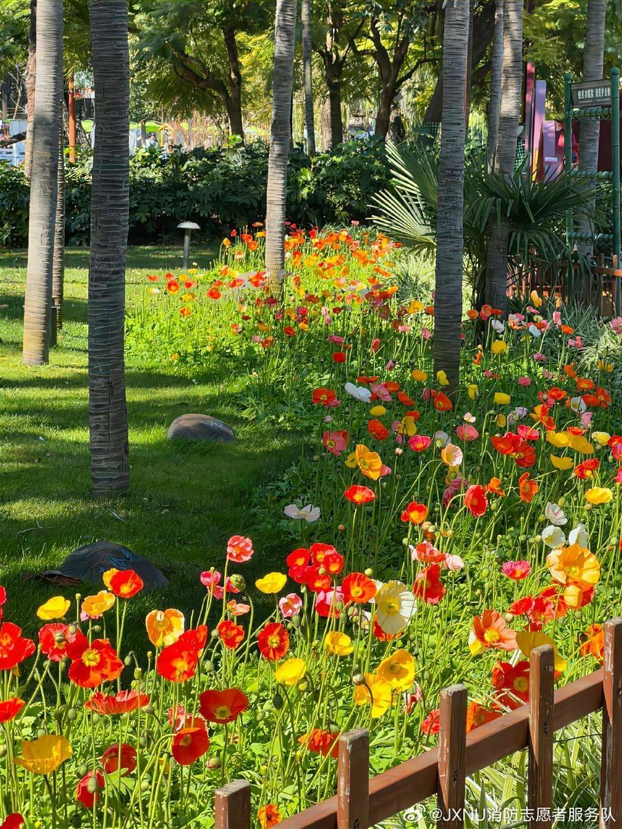 ᅠ ᅠ (@greendreaams) on Twitter photo 