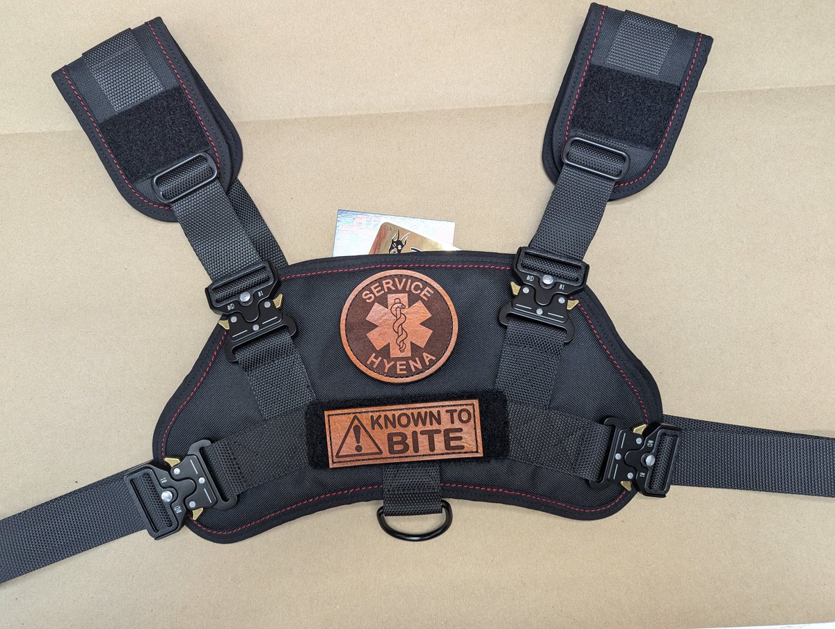 Packing up a very sexy limited edition harness with metal buckle upgrade and custom service species patches. It's headed to Japan, first harness we've shipped there. My inner weeb is so hyped! ✨