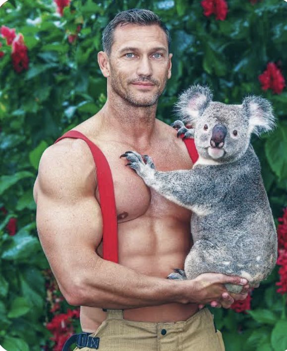 Sortie du calendrier des pompiers australiens. N'est-il pas mignon ce petit koala ? 😀