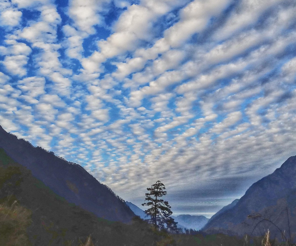 geetanjalidhar's tweet photo. @BryanM07091272 From the land of rising Sun, Arunachal Pradesh in Eastern India.
#mobileclick
#walong https://t.co/WmfbTLQWj0