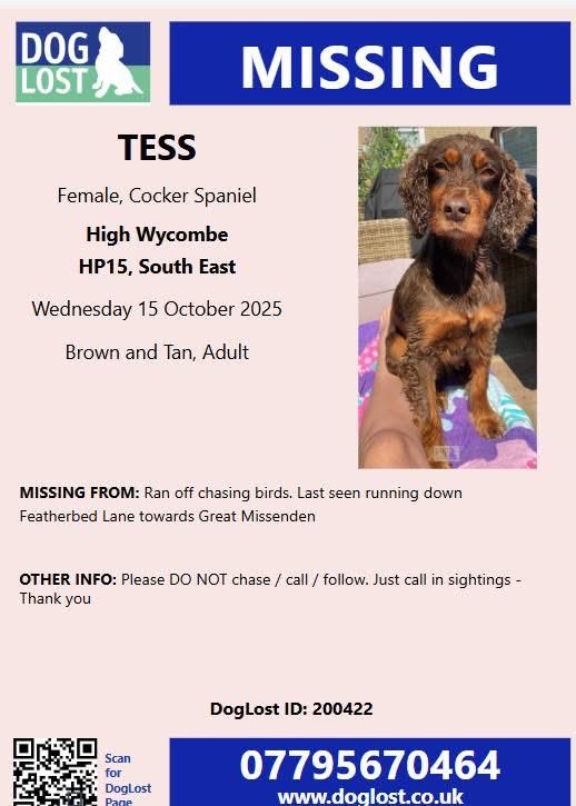 rosieDoc2's tweet image. #SpanielHour
‼️PLS DO NOT CHASE‼️
TESS 15/10/25 HIGH WYCOMBE, #Buckinghamshire #HP15
LAST SEEN RUNNING DOWN FEATHERBED LANE TOWARDS #GREATMISSENDEN
OWNERS “Pls 📱 07795670464 if you see her”
Female brown&tan adult DOCKED TAIL #CockerSpaniel CHIPPED
doglost.co.uk/dog/200422