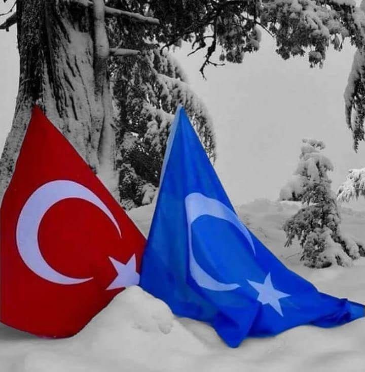 Yandı cehennemi narda çiçeksiz kaldı gülistan

Esaret altında ana yurdum,

Doğu Türkistan.

#FreeTurkistan