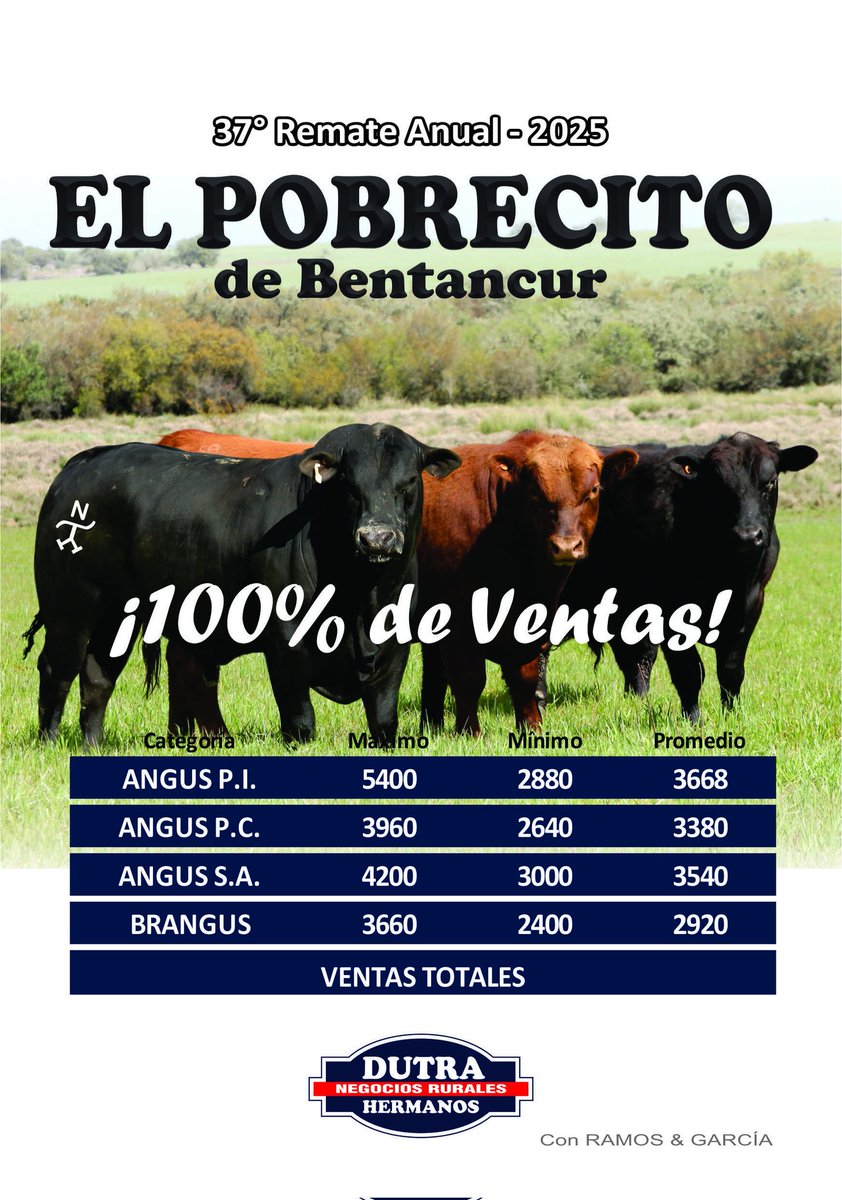 Excelente remate de la Familia Bentancur, colocando el 100% de las Toradas Angus y Brangus. Mucha gente acompañó en el Hotel y muchos más siguieron por las transmisiones. Ya pusimos proa hacía el 38 en 2026. ¡Gracias a todos!