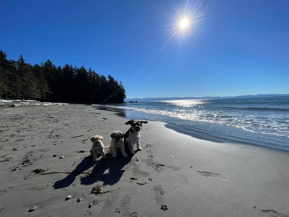 Jim Bottomley tweet media