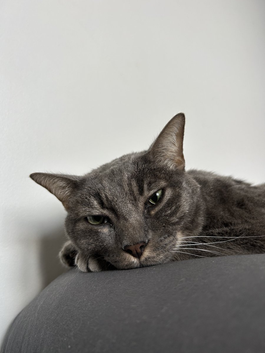 Legrams 🥷🏼 tweet media