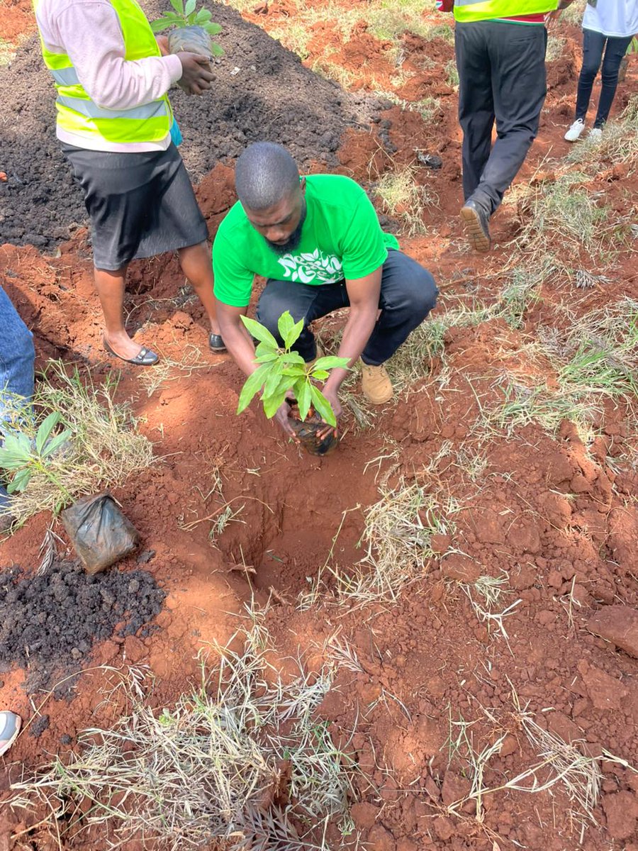 NextForEarth's tweet photo. Today we planted 250 fruit trees at the UON Faculty of Agriculture, symbolizing our commitment to a greener future.
Grateful to our partners — @SafaricomPLC , GIG, @uonbi 
We also join the nation in mourning Rt. Hon. Raila Odinga — a leader whose legacy lives on.
#ClimateAction https://t.co/T7J33YJk5p