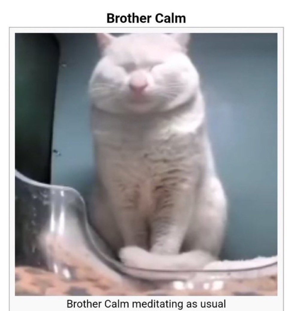 soleil ☽☾ (@belmonthold) on Twitter photo 