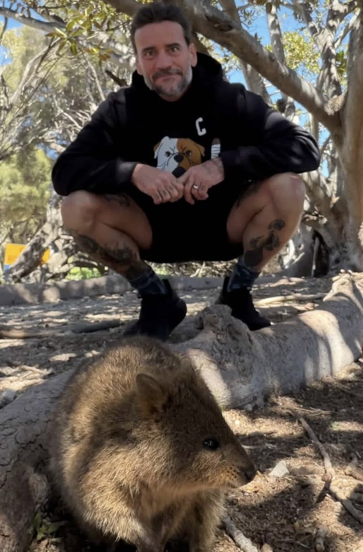 A wild CM Punk 😭