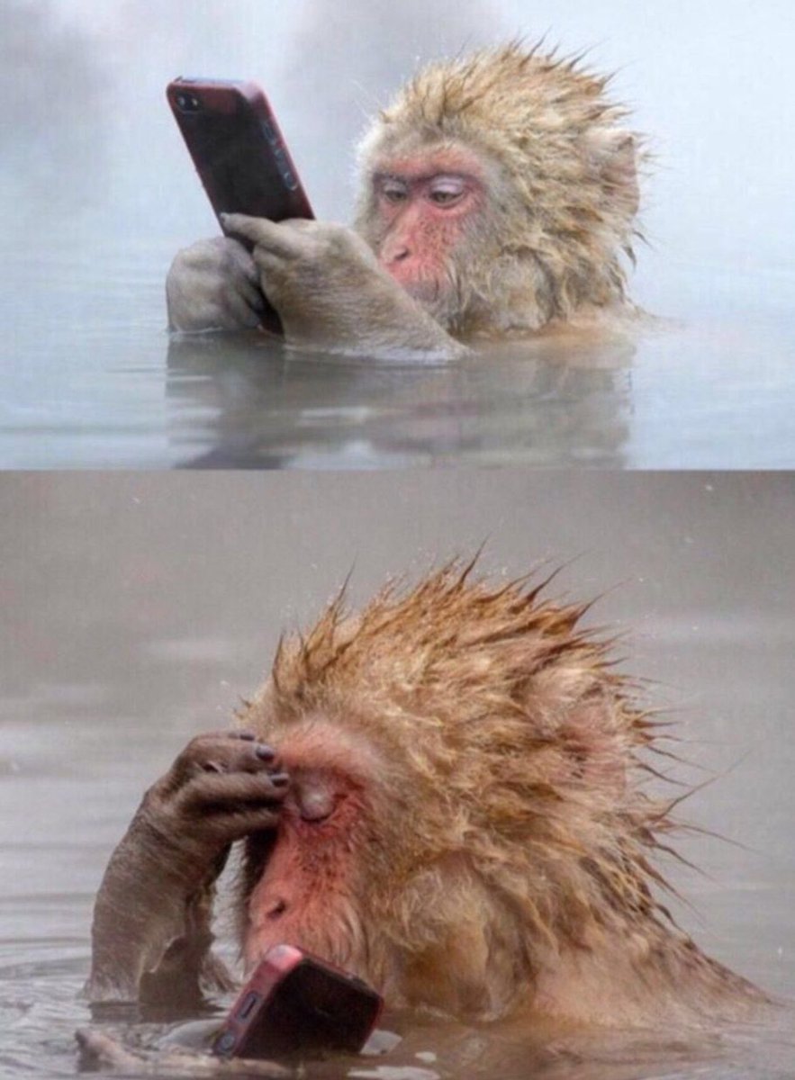 Me and <a href="/idOS_network/">idOS</a> leaderboard every 2 seconds🥲

Is this one life?😂