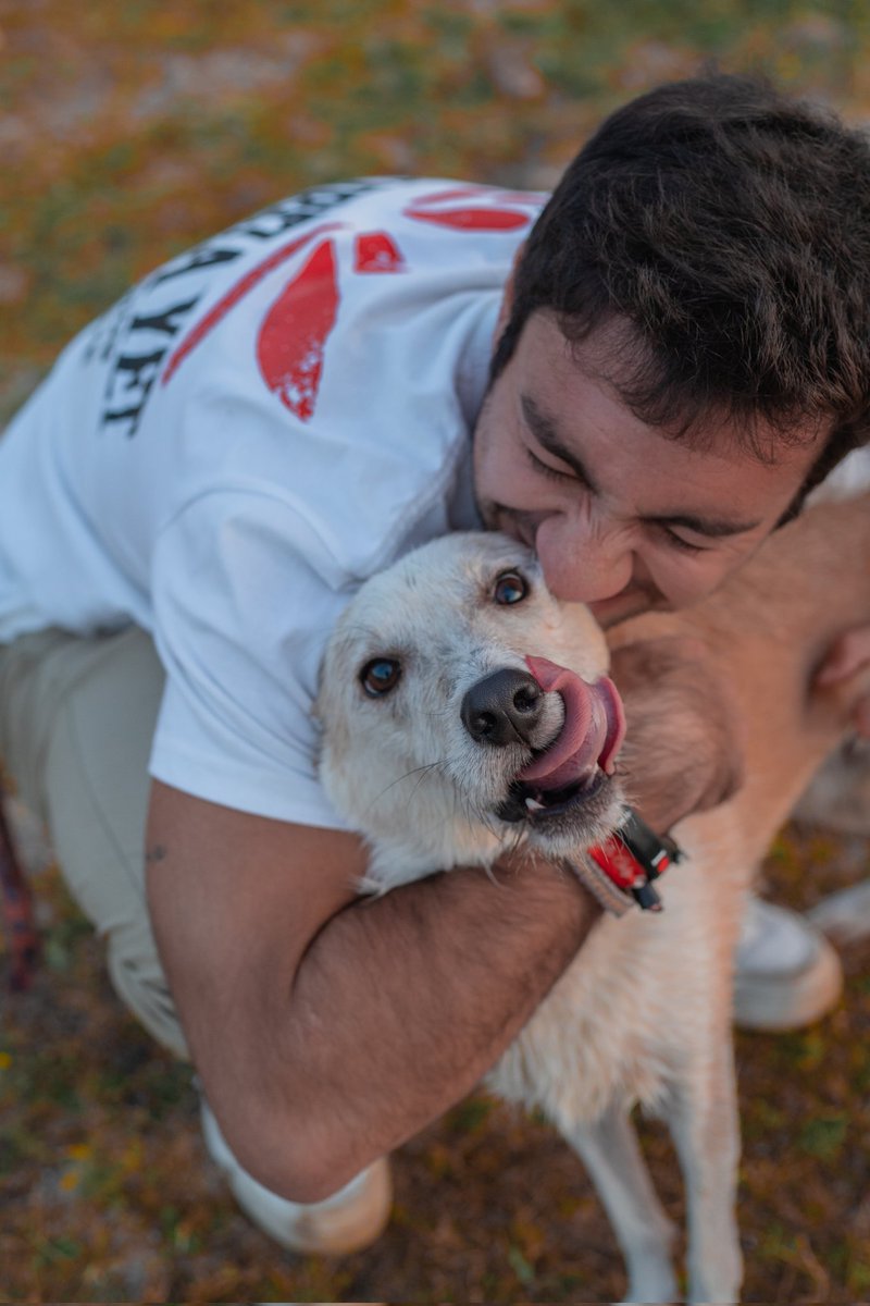 ✖Álex González✖ tweet media