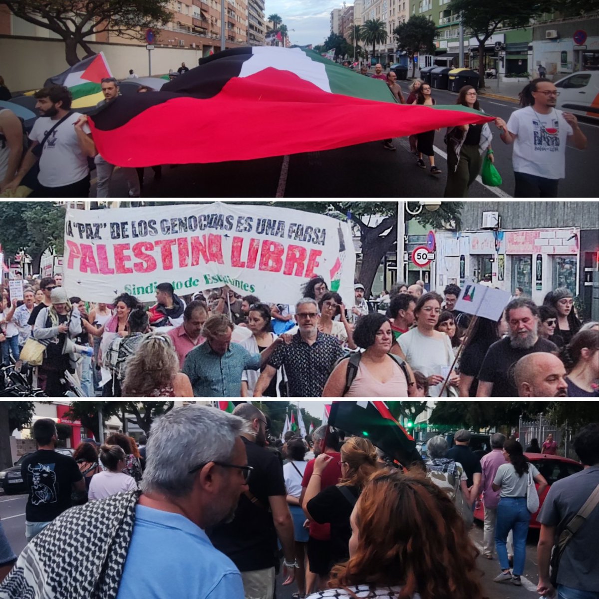 Cádiz con Palestina 🇵🇸💚 

#15O #FreePalestine
#huelgageneral