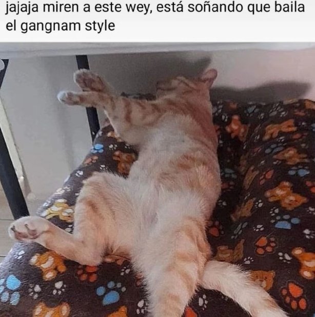SlendryG's tweet photo. Esto si son memes https://t.co/DOREmLVf5E