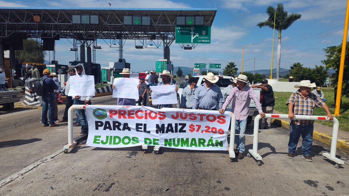#dia2 de protestas exigiendo precios justos al maíz 

Tu tortilla existe gracias a los productores de maíz de México que hoy estamos en crisis. 

#ApoyoAlCampoMexicano 

A ver, dónde está el gobierno que dice que “sin maíz no hay país”? 
#ParoNacionalDeAgricultores