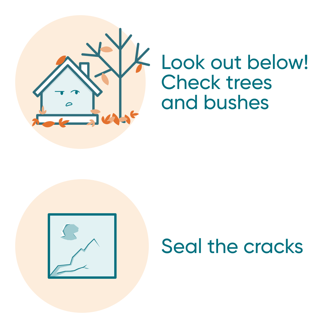 TrueNorthMtg's tweet image. Leaves are falling 🍂 (and filling up your eaves and beds and lawn). Don the plaid 🪵🪓, and use our Fall Home Maintenance Checklist to protect and prepare your home.

truenorthmortgage.ca/blog/fall-home…

#FallWinter #HomeChecklist #Maintenance