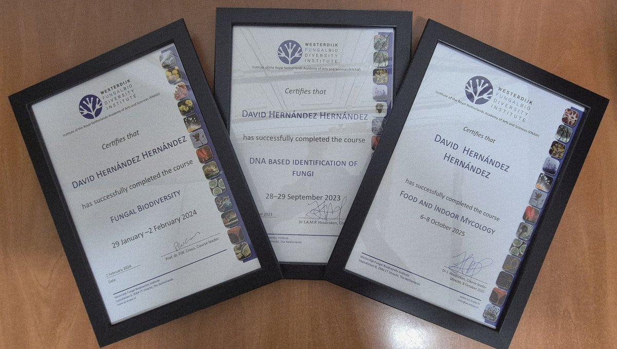 David Hernández tweet media