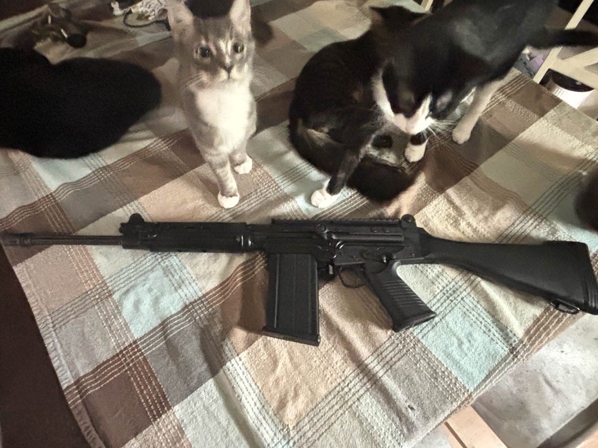 zeddliest's tweet photo. Got my first rifle, had to be a Fal.
The cats were smelling it all over after the range. https://t.co/oBvy6EX4C5