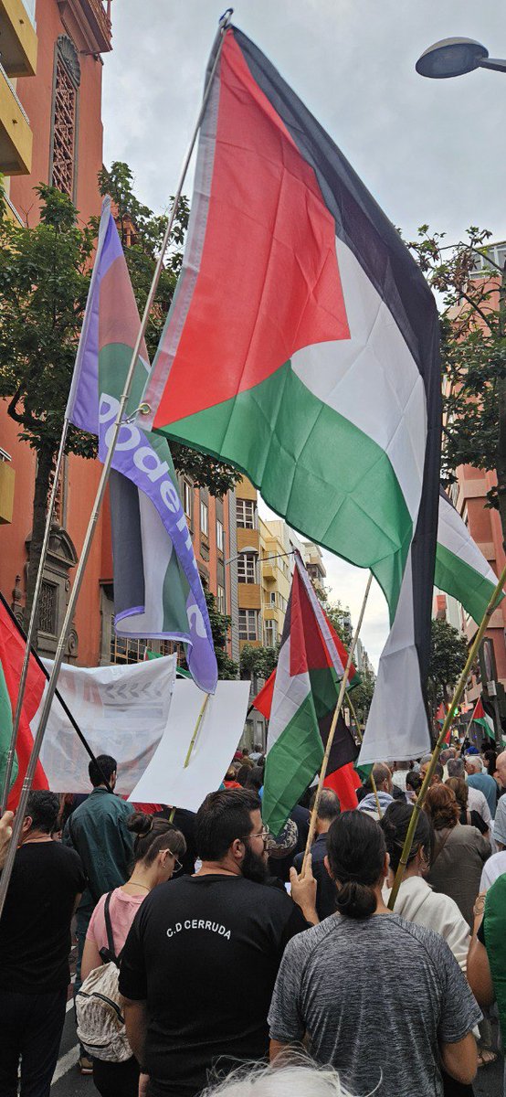 PodemosCanarias's tweet image. Hoy, desde todas las islas, Canarias dijo ¡Basta!
Miles de personas salieron a la calle en una jornada de huelga y movilización en solidaridad con el pueblo palestino.
🕊️ #CanariasConPalestina #AltoAlFuego