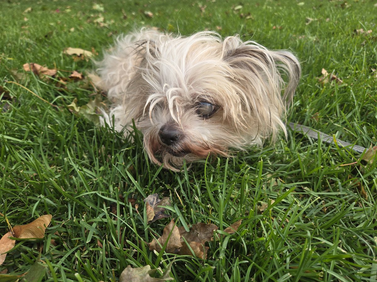 This is what 20 looks like--made it to the grass, called it a day.