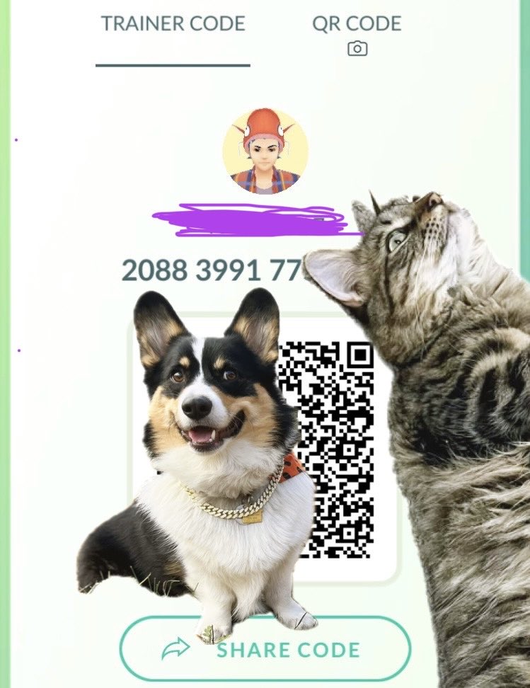 edanieldaisy's tweet image. Looking for new International Pokémon GO friends! 🌍
I live on a PokéStop & try to send gifts daily.
Please DM before adding and I’ll share the last 2 digits of my friend code then!
#PokemonGO #PokemonGOFriends #FriendCode #GiftExchange #PokémonGOCommunity