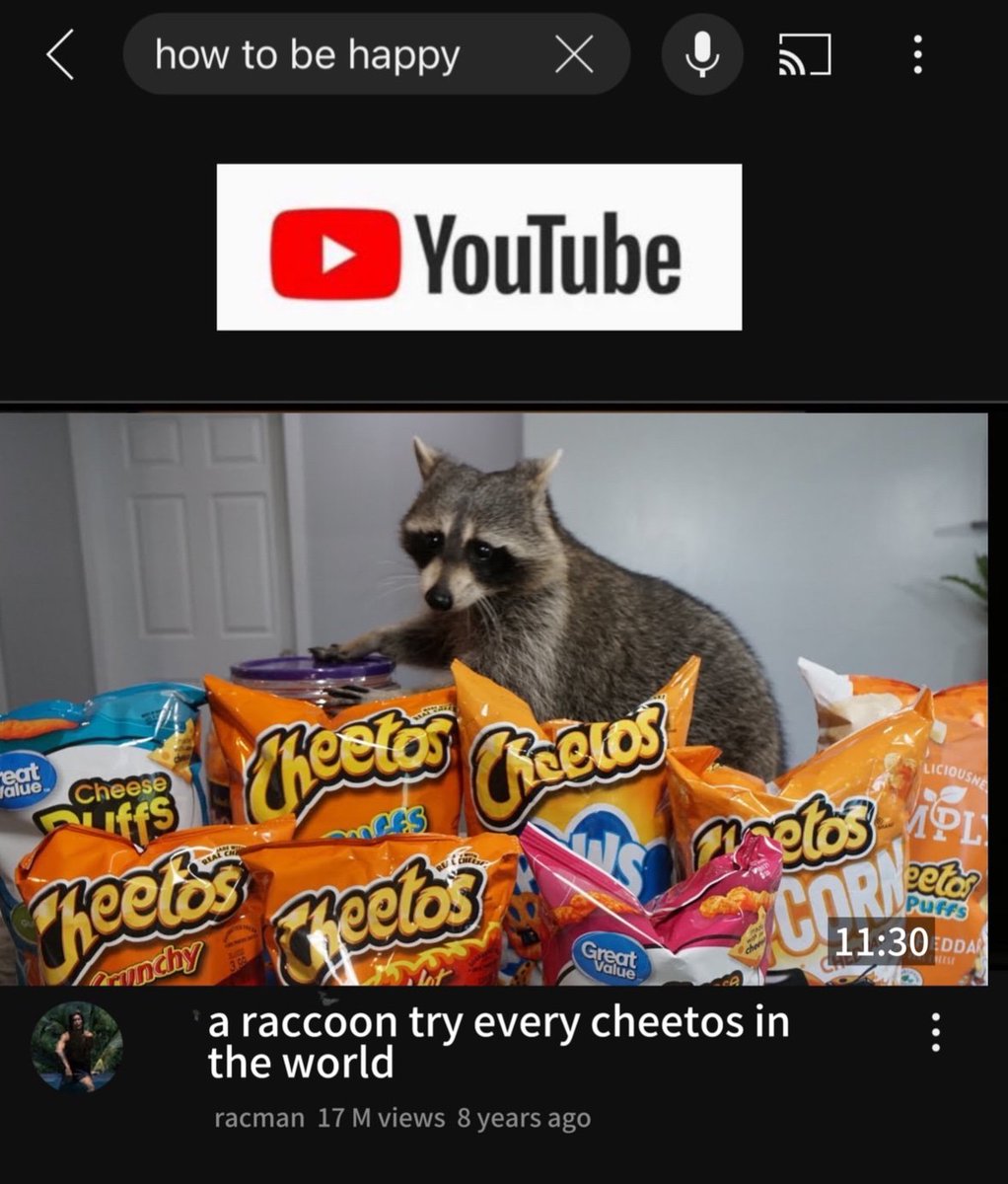 ShouldHaveRacc's tweet image. 