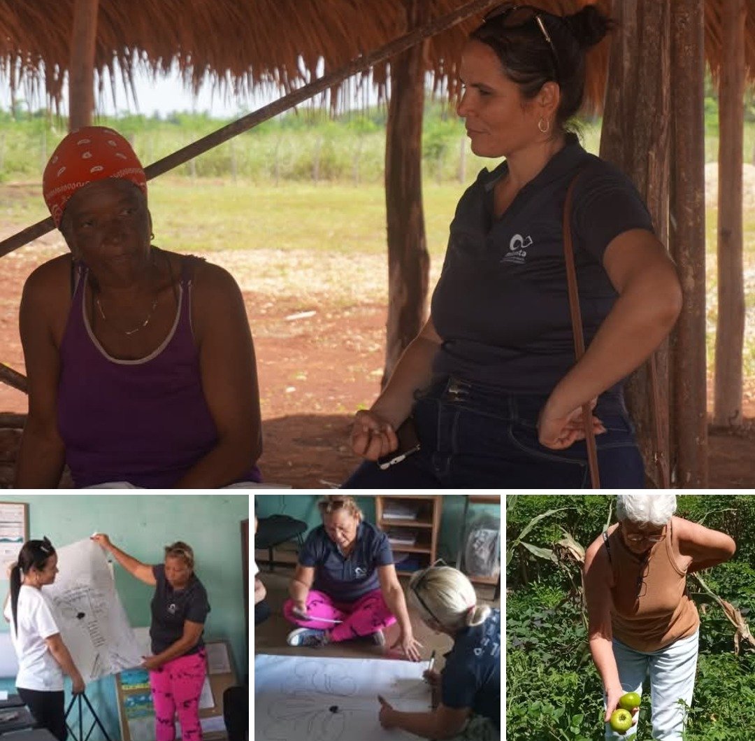 Periódico Invasor (@invasorpress) on Twitter photo La combinación de ser mujer, vivir en una zona rural y habitar en un territorio costero define una realidad de triple vulnerabilidad, pero también de enorme resiliencia y capacidad de agente de cambio.
#DíaDeLasMujeresRurales
<a href="/rocdecubano/">Roberto Carlos</a> <a href="/citmaciego/">citmaciego</a> La combinación de ser mujer, vivir en una zona rural y habitar en un territorio costero define una realidad de triple vulnerabilidad, pero también de enorme resiliencia y capacidad de agente de cambio.
#DíaDeLasMujeresRurales
<a href="/rocdecubano/">Roberto Carlos</a> <a href="/citmaciego/">citmaciego</a>