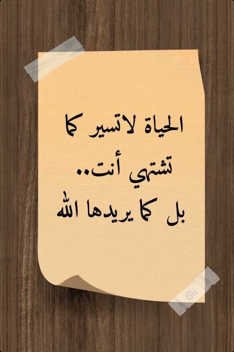 أذكرو الله ، صلّو على النبي 🤍