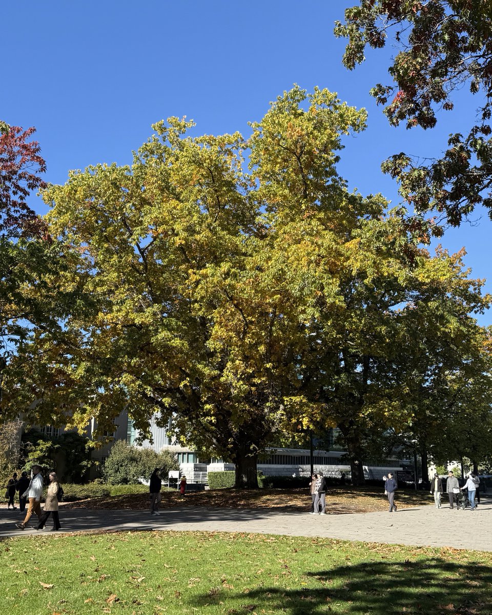 Victoria Chang tweet media