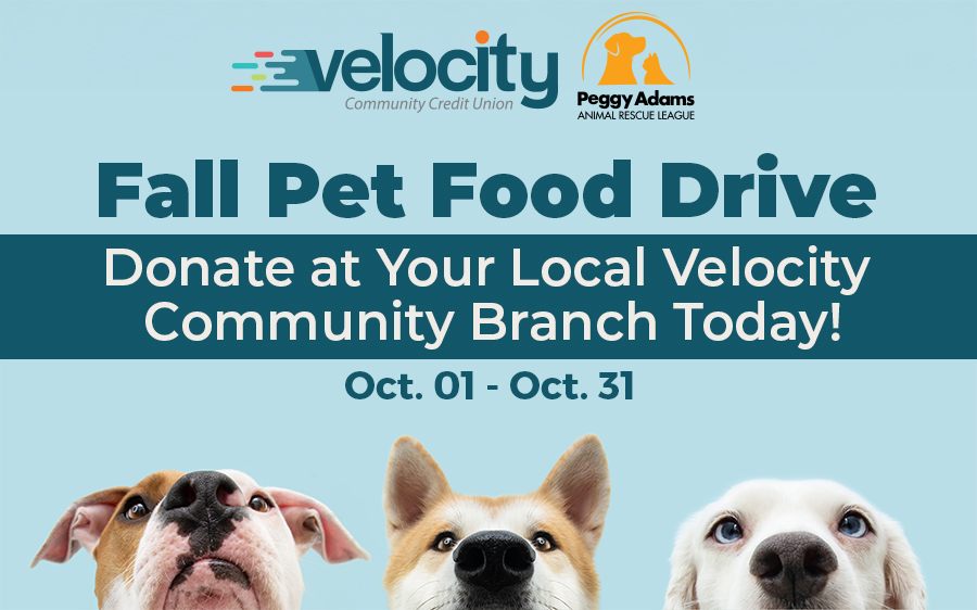 🐾 There’s still time to donate!
We’re collecting canned and dry pet food at all branch locations through October 31.
Help us support local pets and the families who love them.

Learn More: velocitycommunity.org/live-learn/pet…

#PetFoodDrive #VelocityCCU #PalmBeachCounty