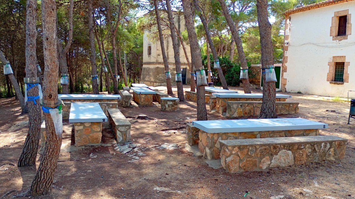 Les barbacoes de l’Ermita de Sant Antoni tornen a estar operatives un cop finalitzat el termini de restriccions canalajuntament.cat/ca/articles/le…