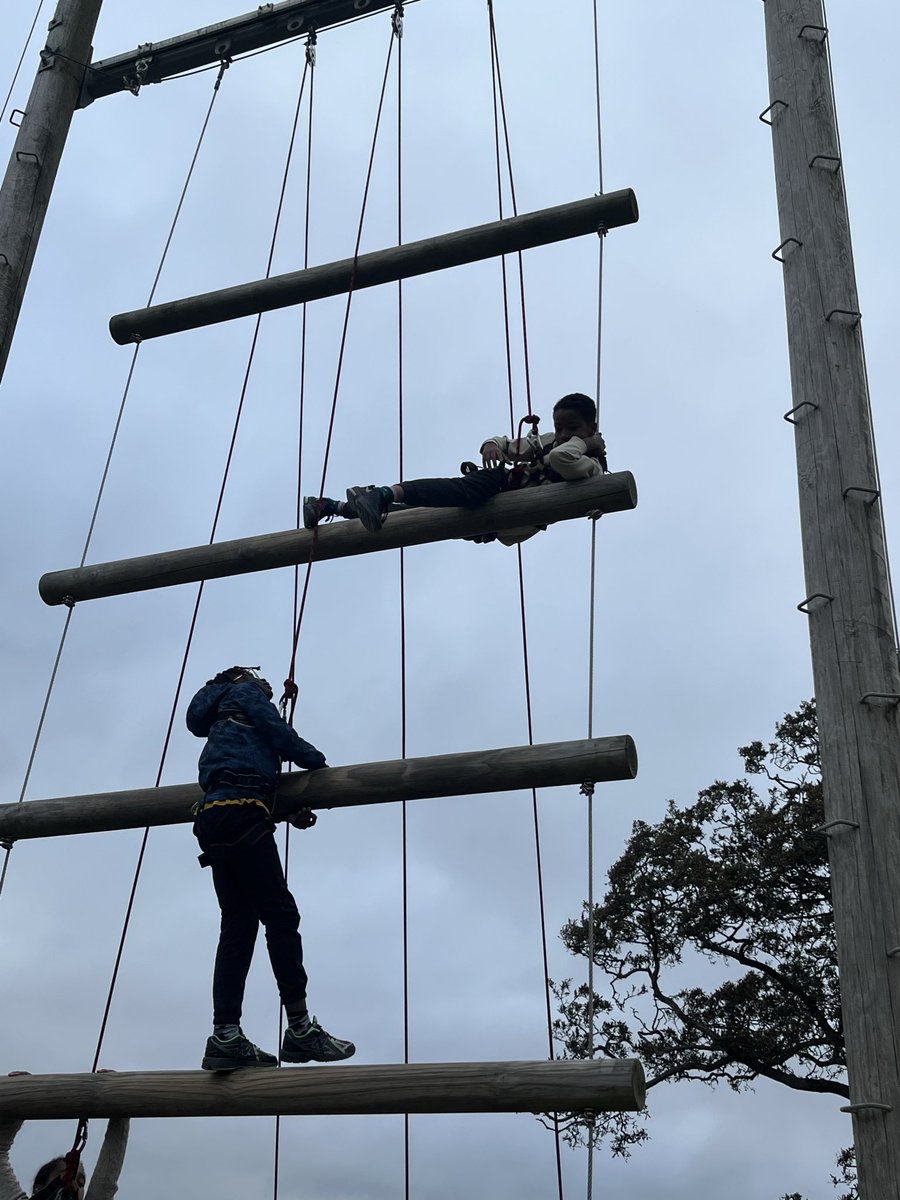 ArkAtwood's tweet photo. Jacob’s ladder! https://t.co/tu6Ia5ad9l
