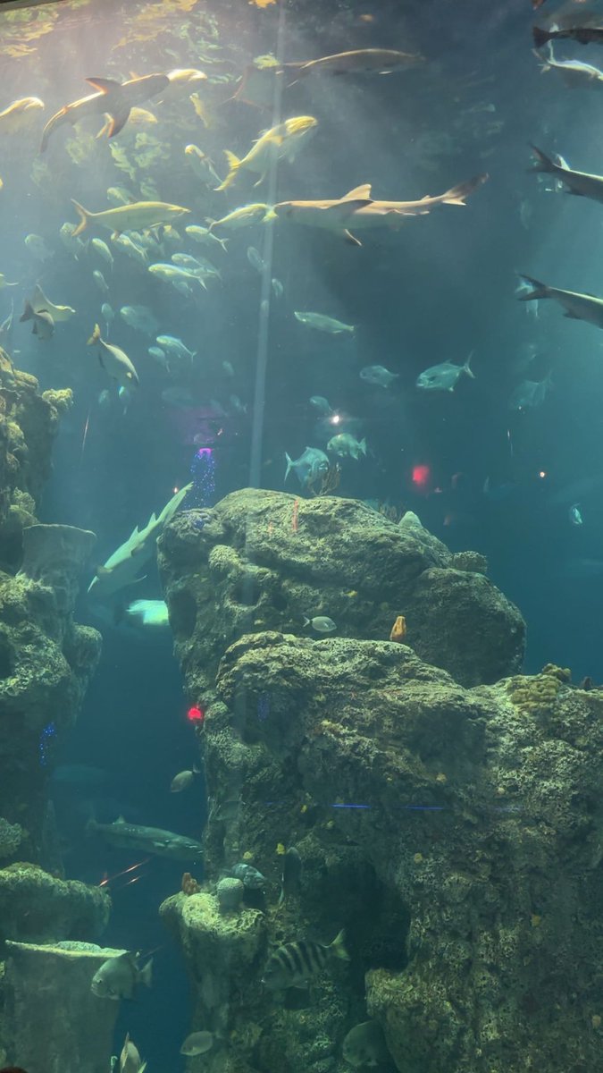 Enjoyed Charleston and a big thanks to  Quikrete for providing its’ employees with many fun memories! #blessed #Charlestonsc #southernhospitality