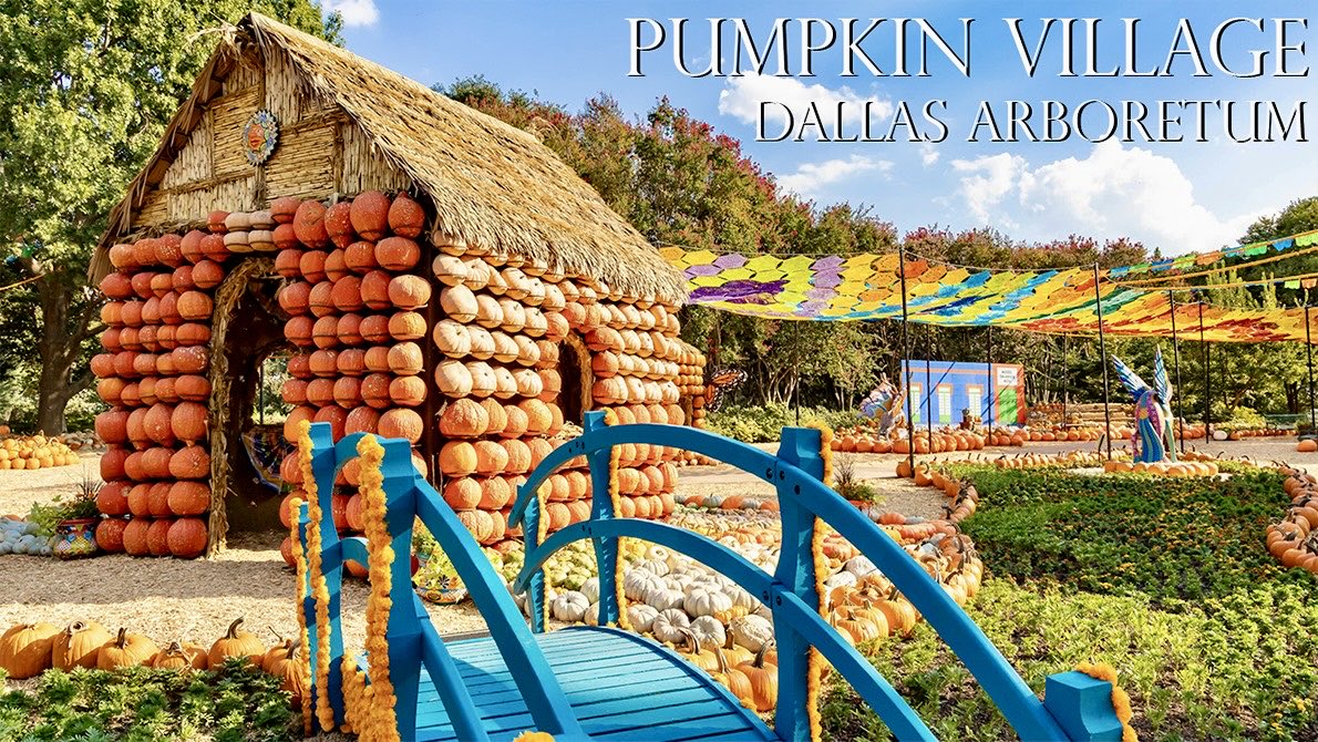 eyeofthestorm. tweet media